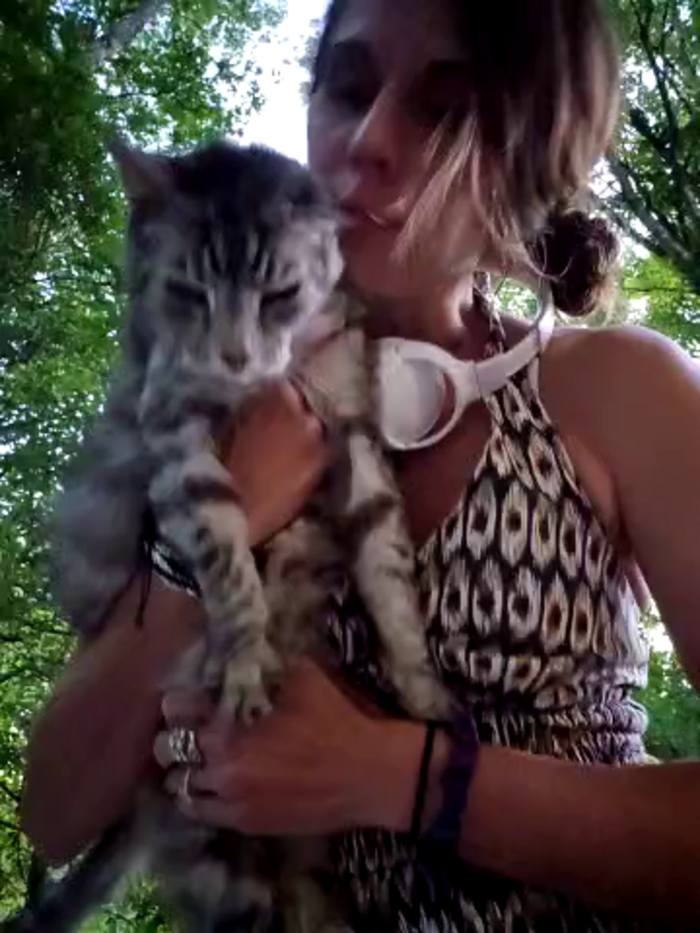KittyWhispers