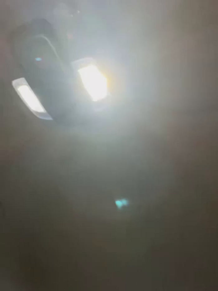 DoriDeluxe66