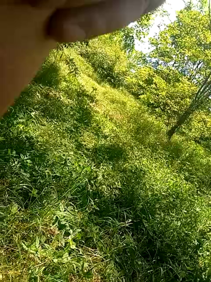 Greta_Tamar