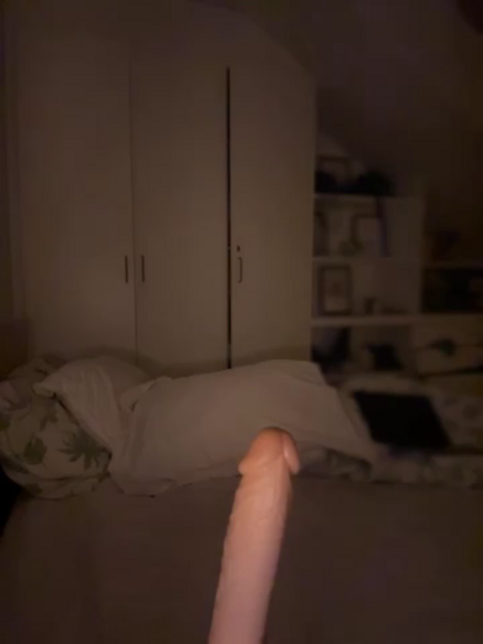 bellabee14