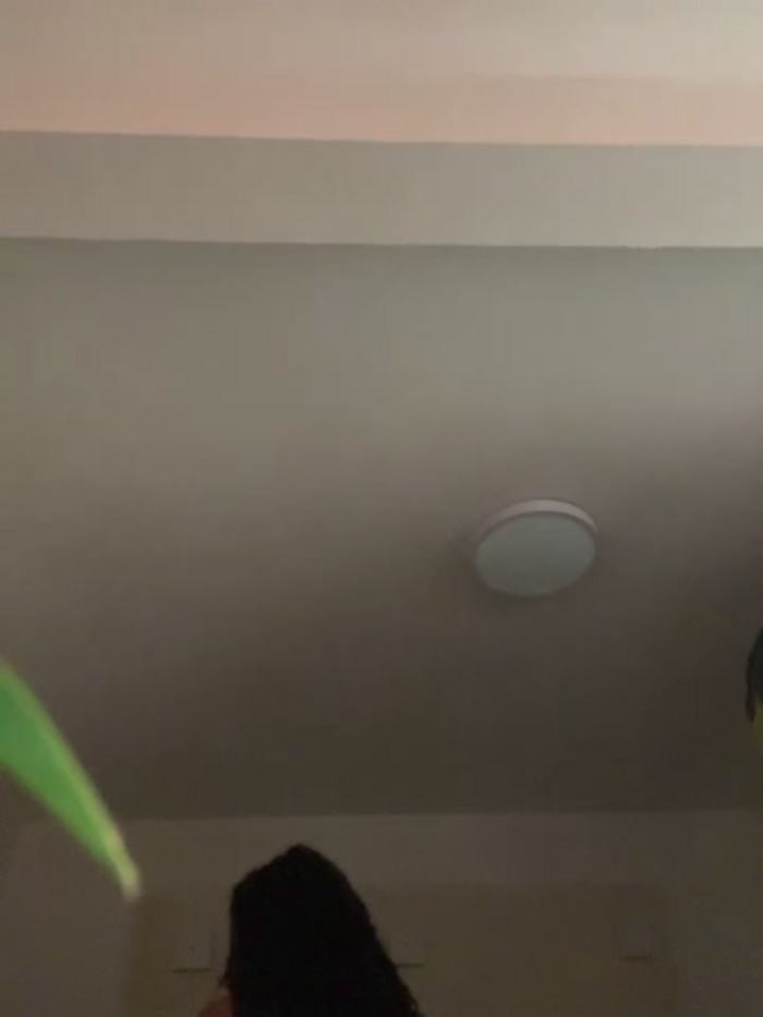 meliAngelical
