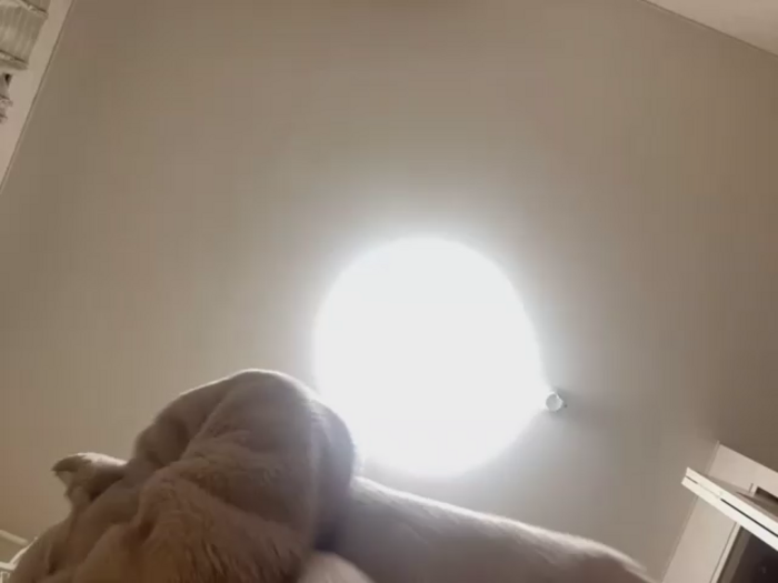 riri_riri_jp