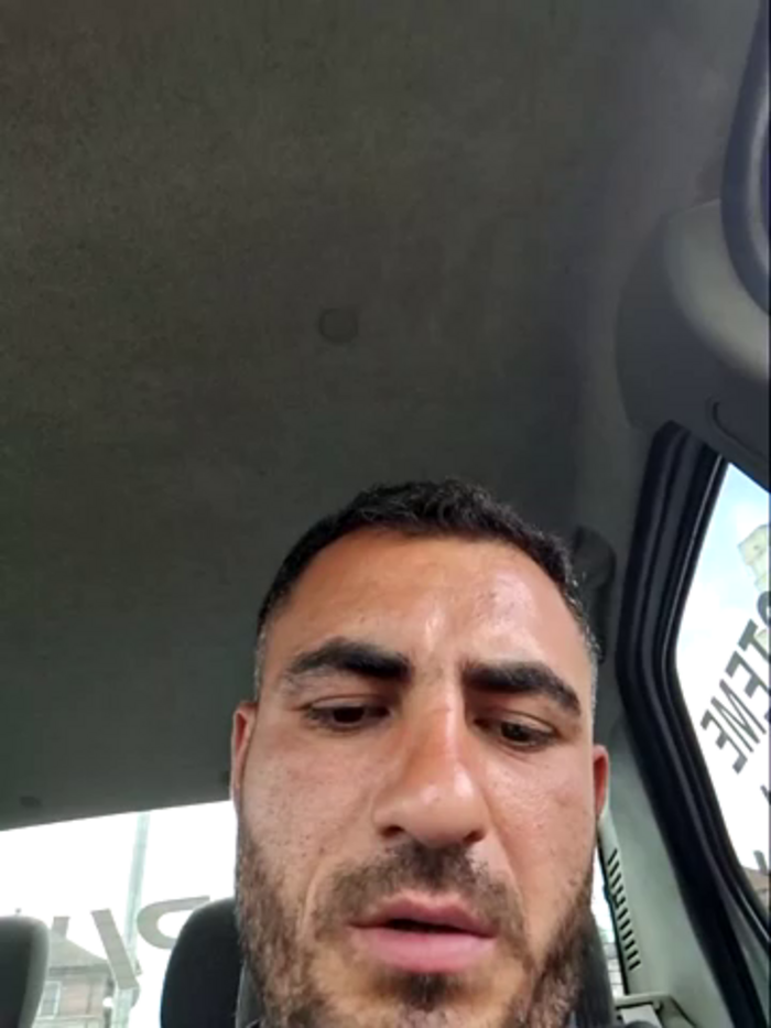 Wild_Stalion