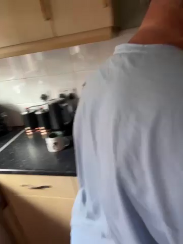 Mrsmoggy