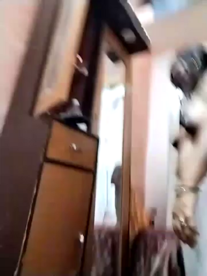 zeevaansari
