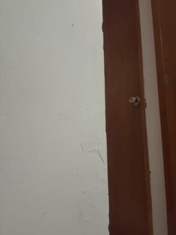 Maquita1