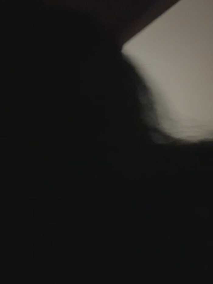 PetitLumiere