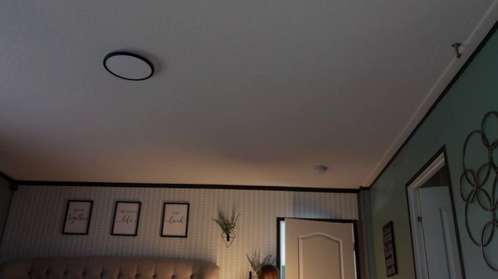 lucyallen4201