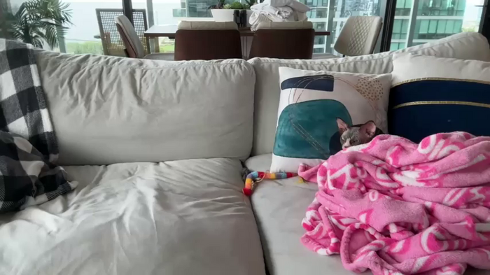 Graciemae_baexx