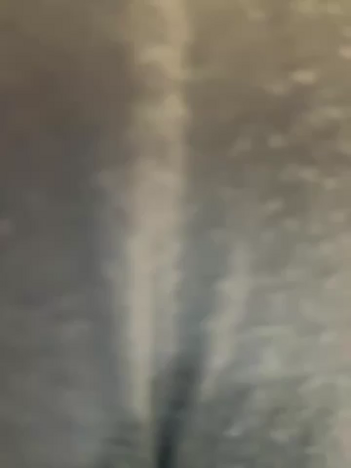 didihairypussy