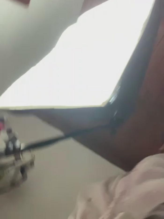 alicetgirlbr