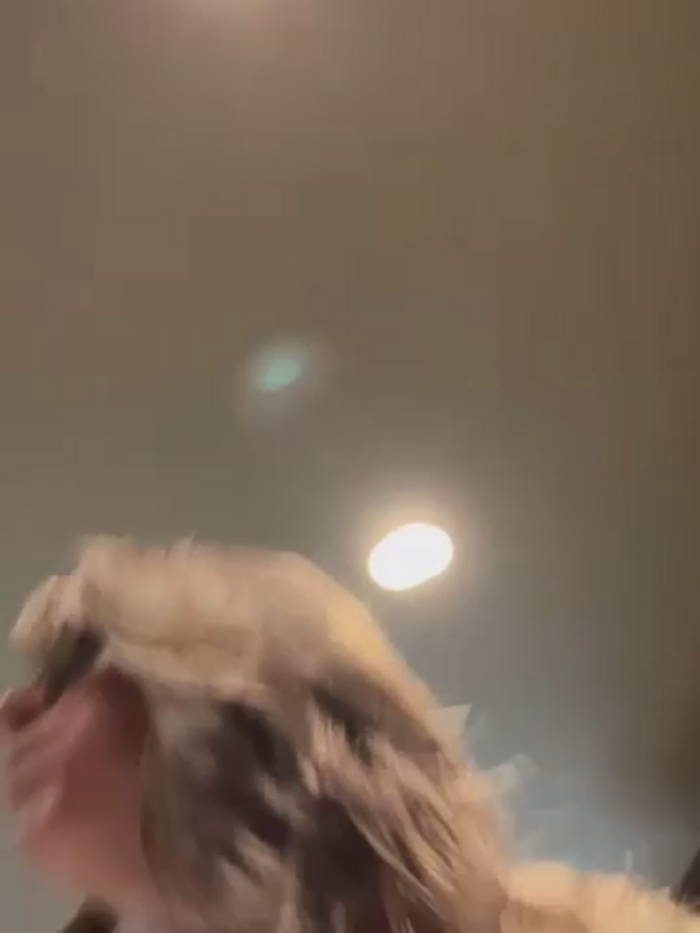 Vivian_MayXxX