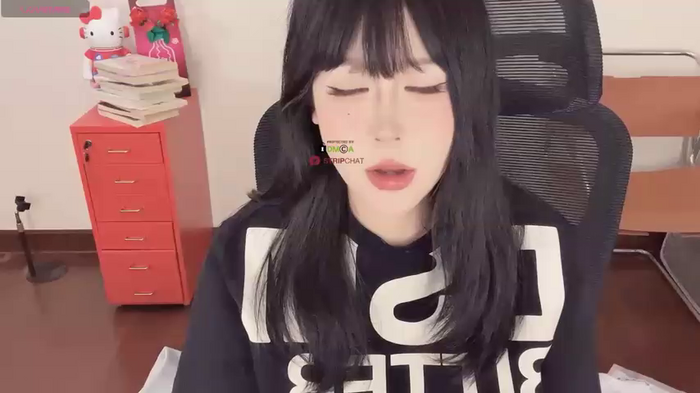 Naixue-520