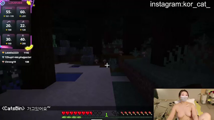 Kor_Cat