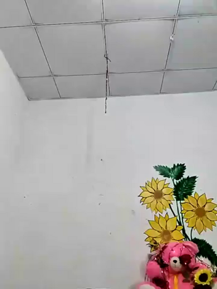 SLZAARA