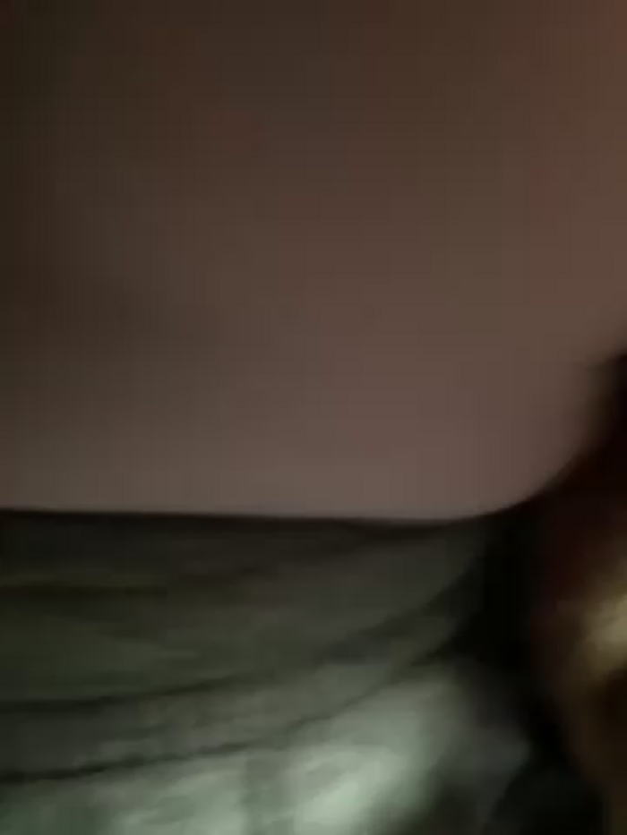katexxxx