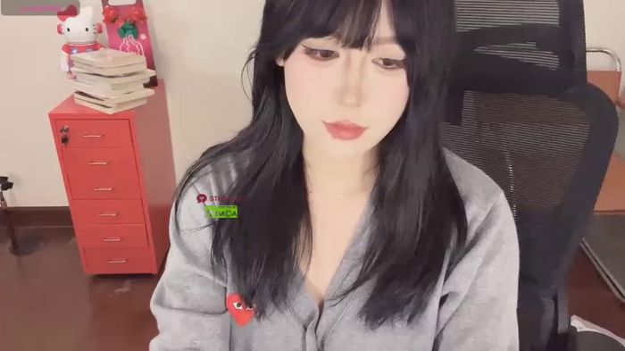 Naixue-520