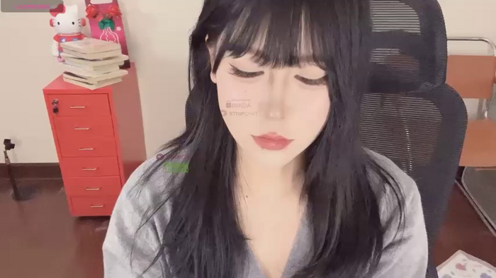 Naixue-520