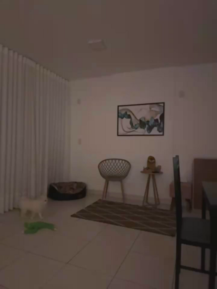 BelleLouiseVp