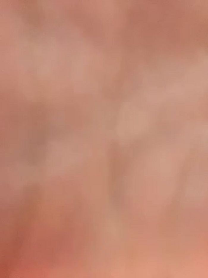 Dari_Toy_