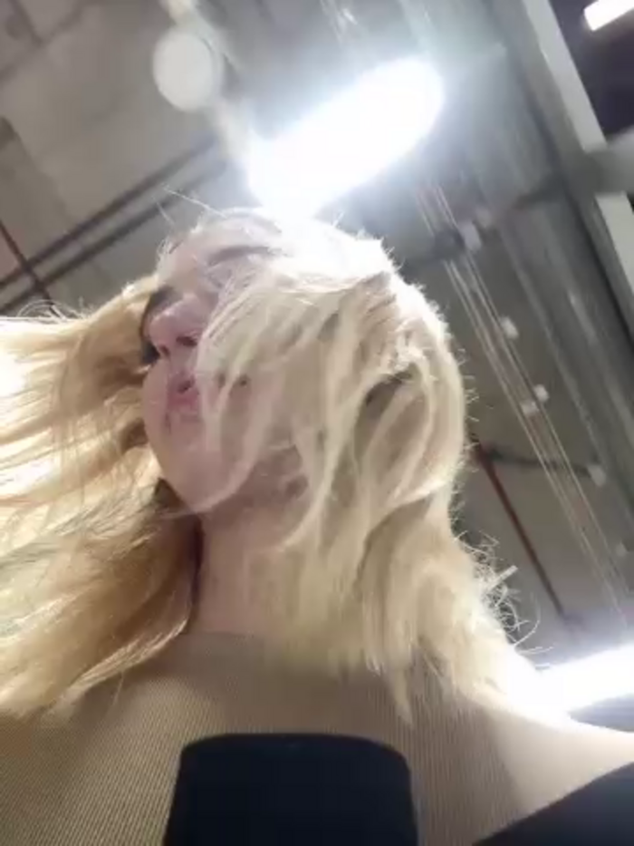 DollyTall