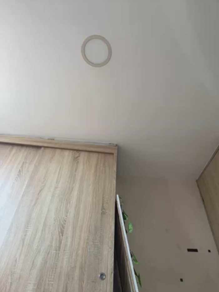 MiaLujan_