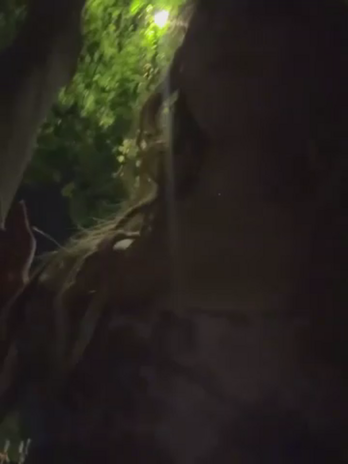 Alyssa_76