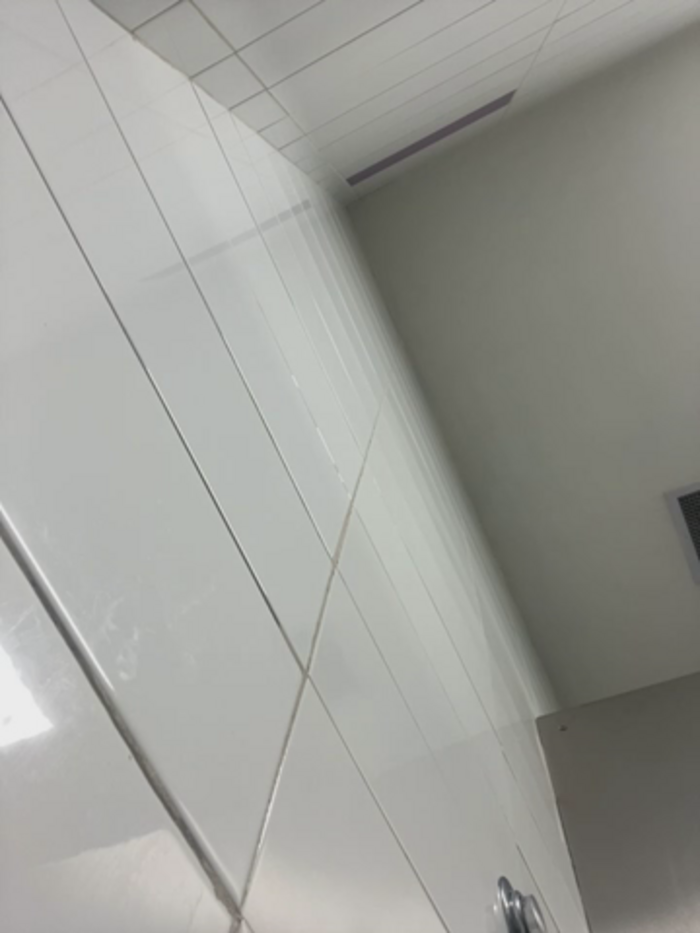 Isabella21_