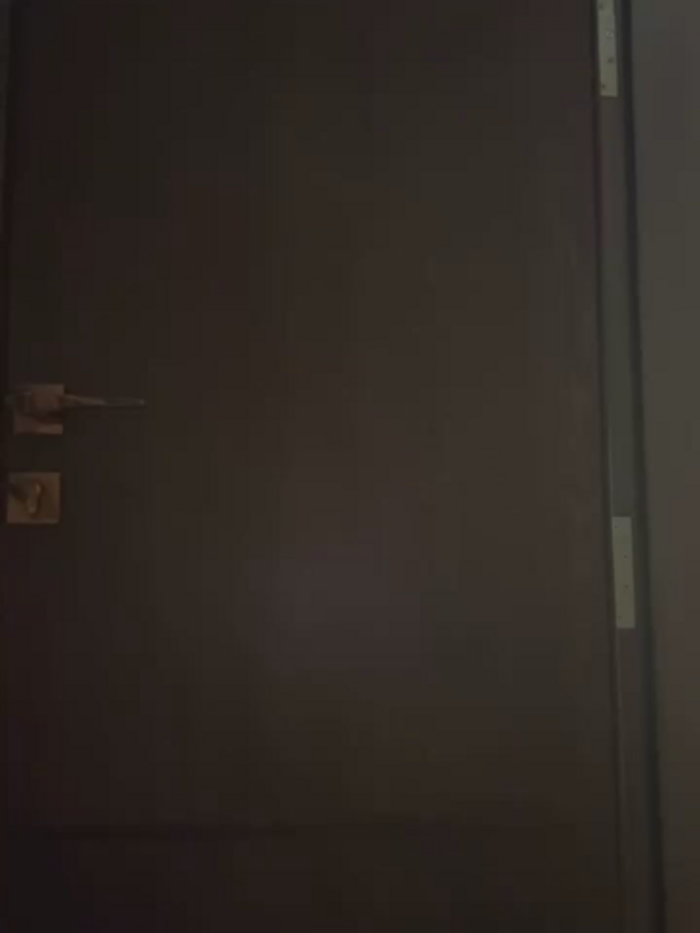 Mayaxo24