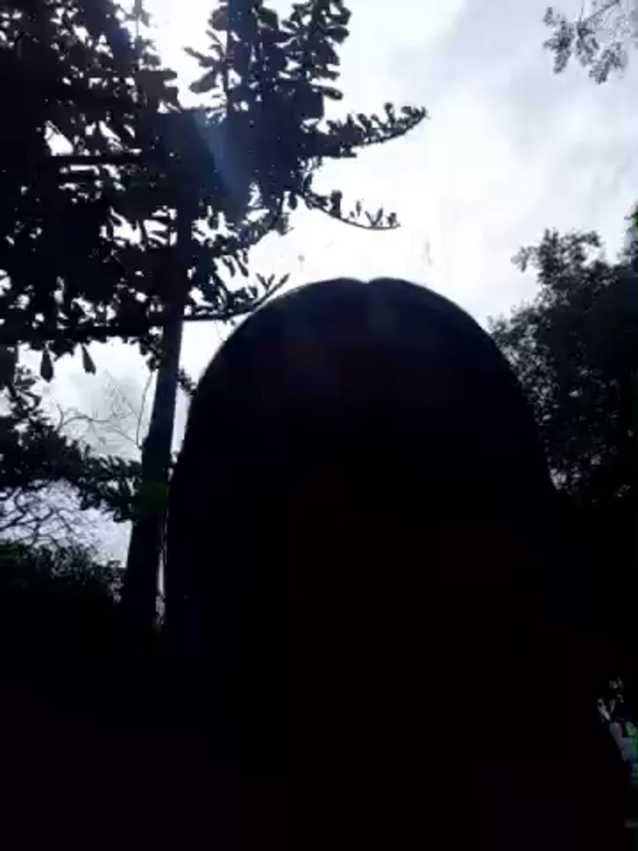 Mila_gus_new_acount