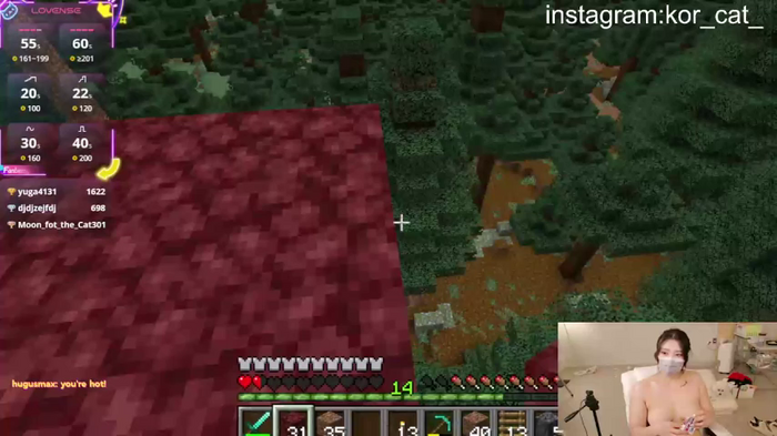 Kor_Cat