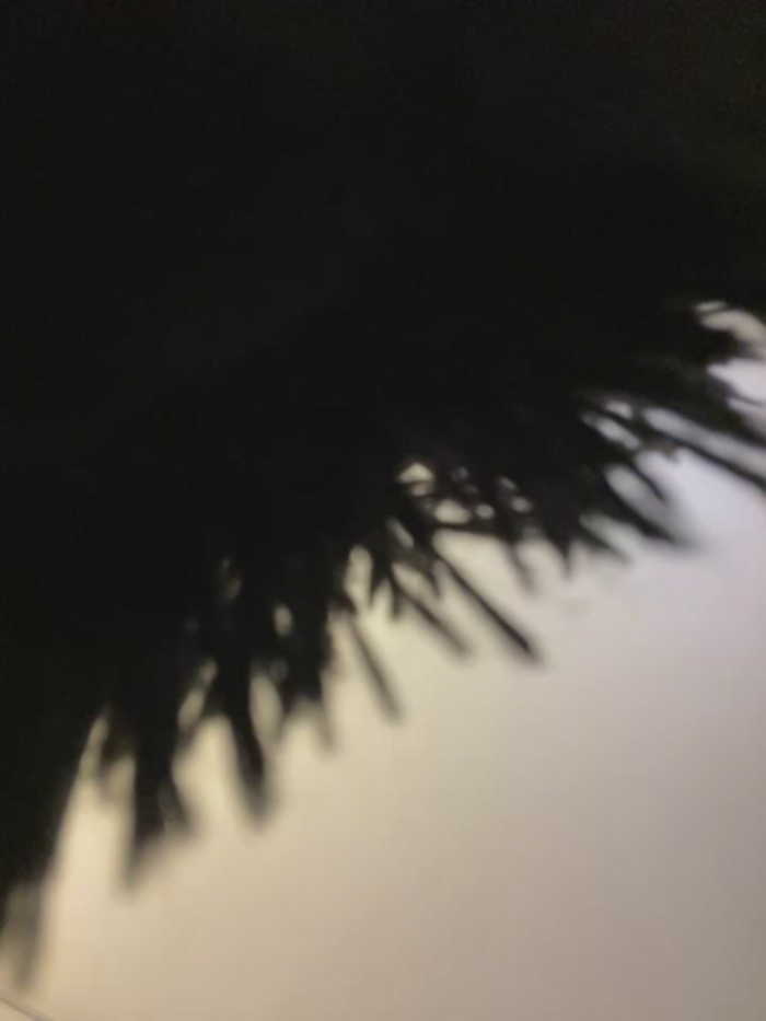 Nathcurly_