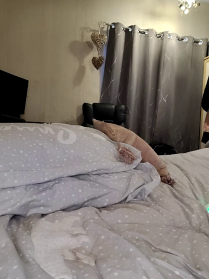 Kinkymilf56