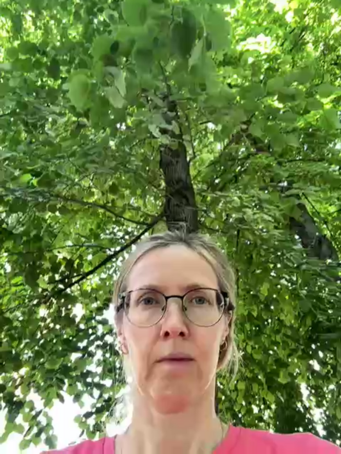 MollyStory