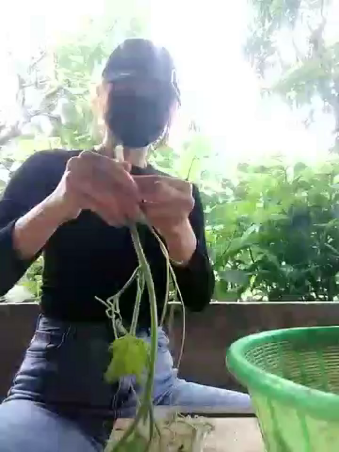 tara_0000