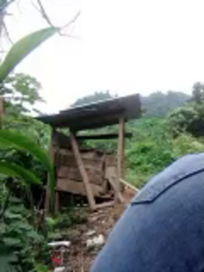 tara_0000