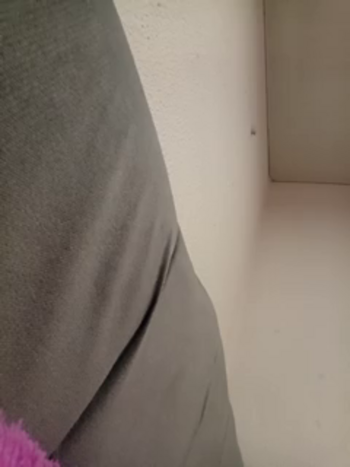 ALEJA__07
