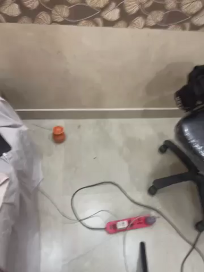 OyoWali-Bhabhi