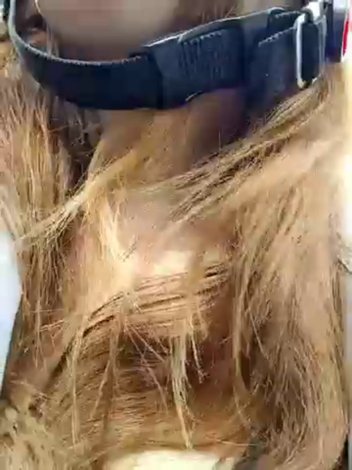chenxin778