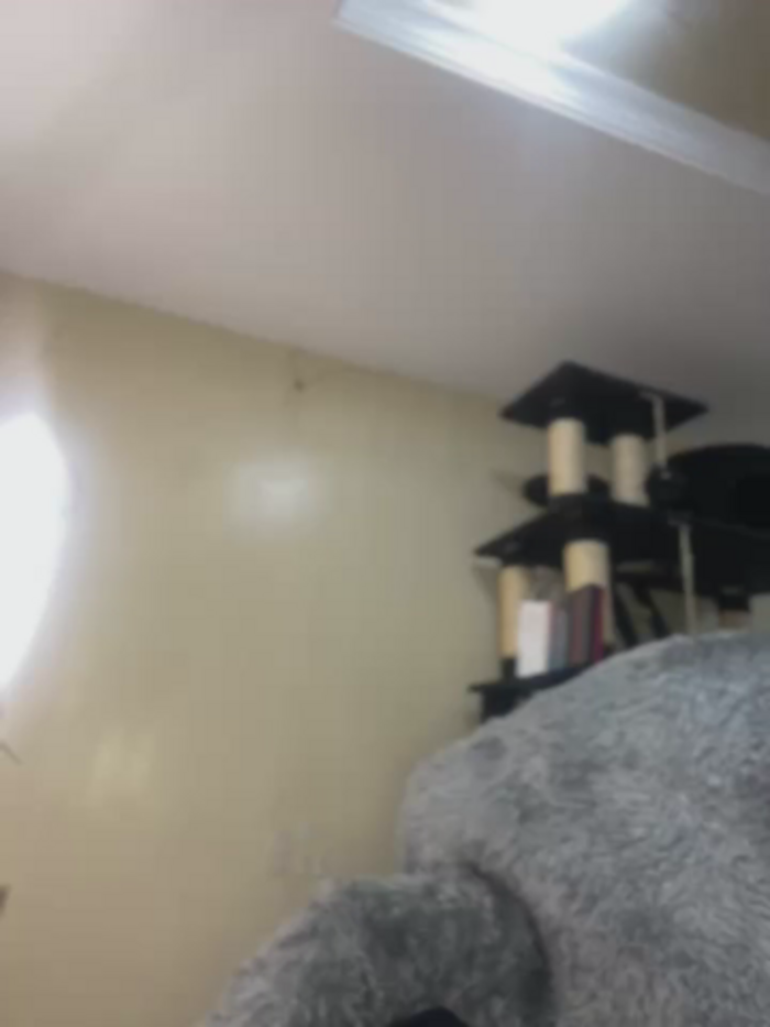 MiaJones21
