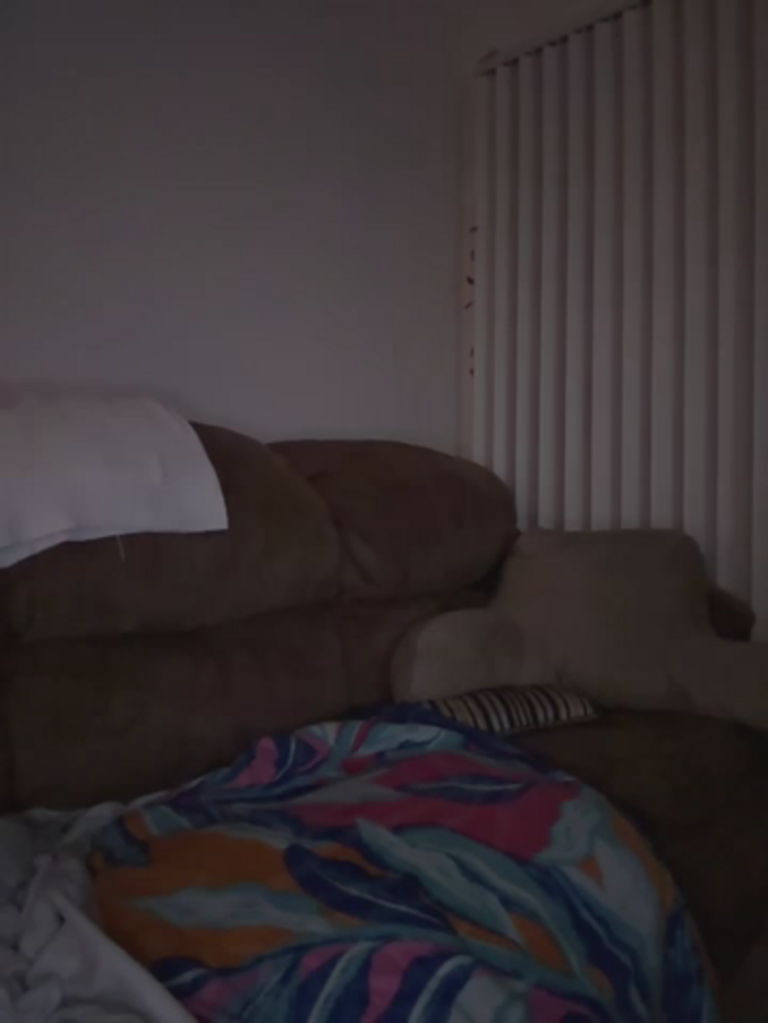 Thickarella420
