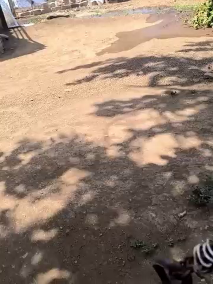 Desimallbhabhi