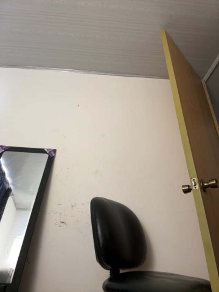 celine_bell20