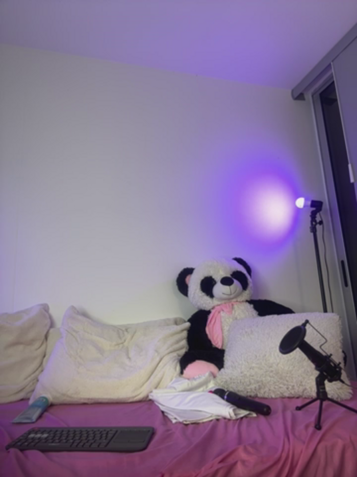 gabyfoxster