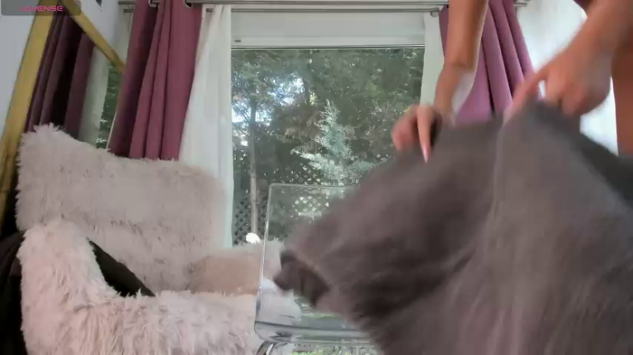 hotdeedee