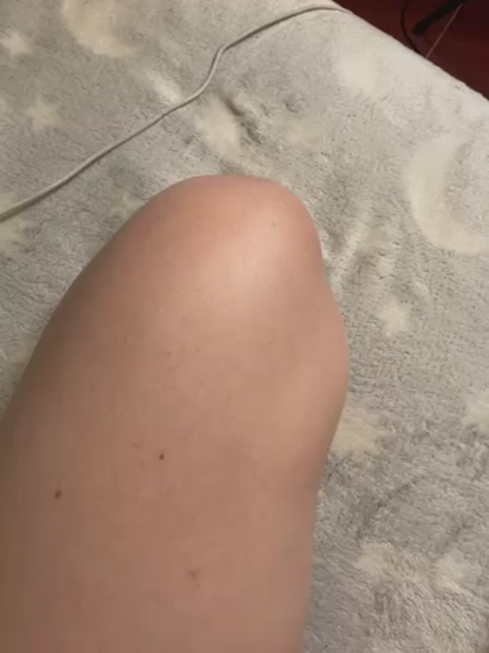 Fregida