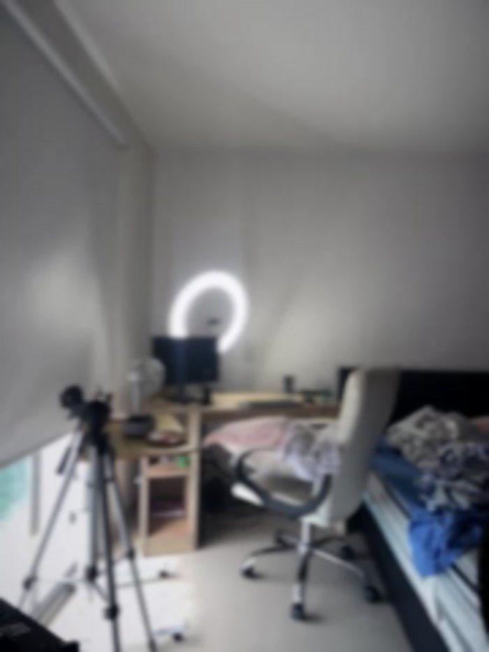 horny_roomiess