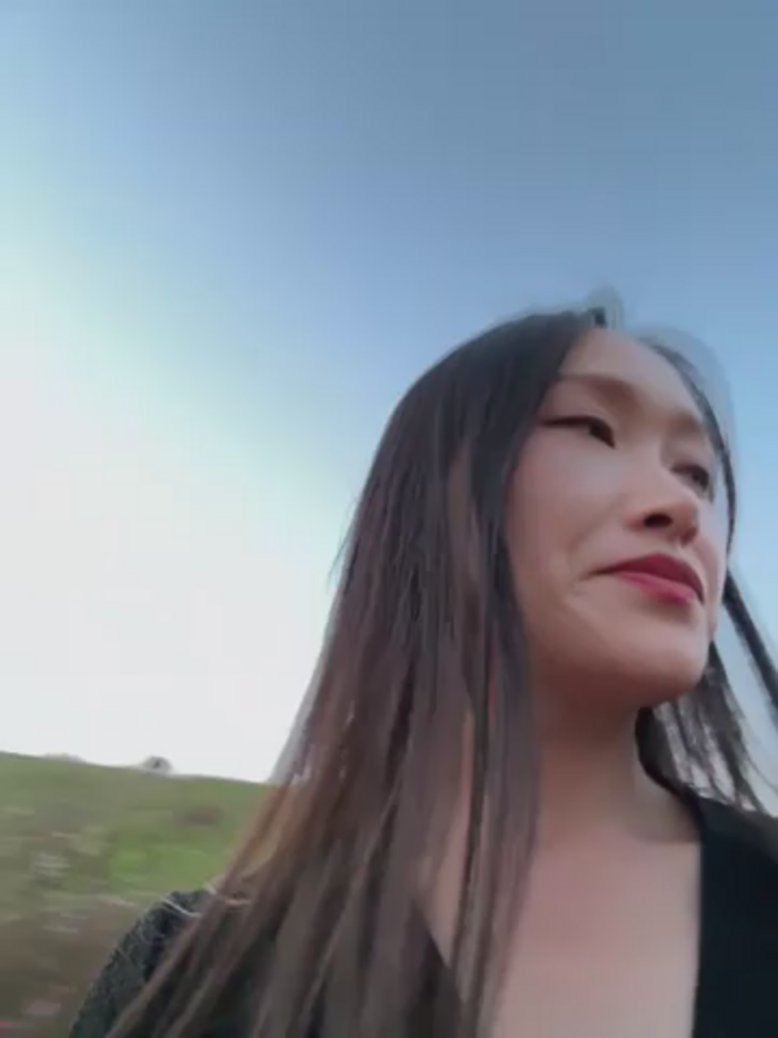 Lfeiji