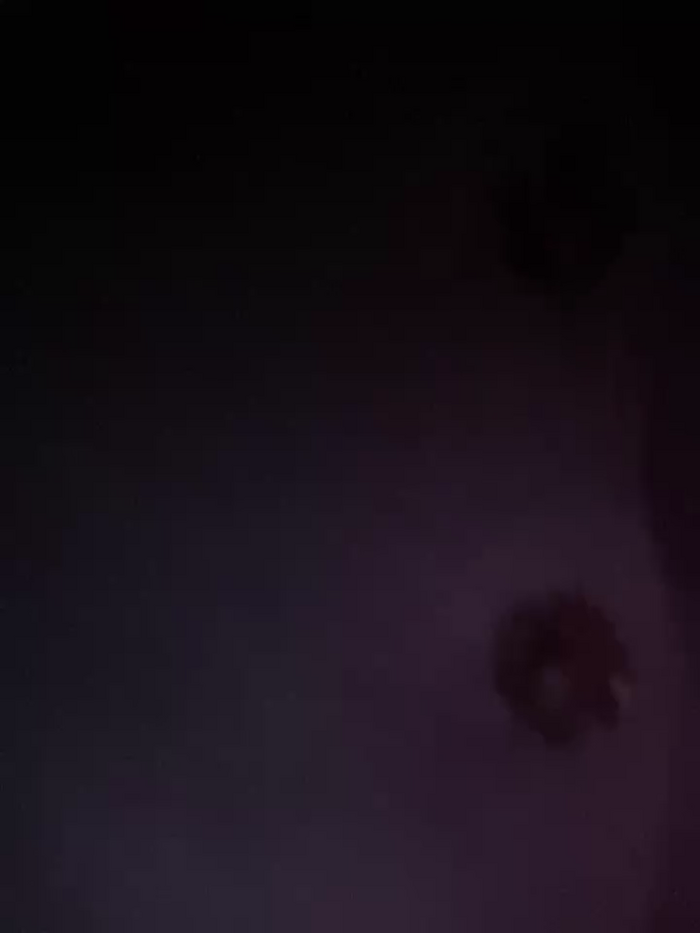 Lami_Mi