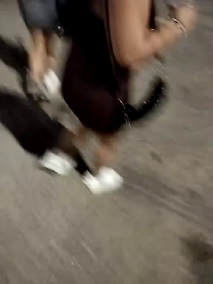 royalgirls_x